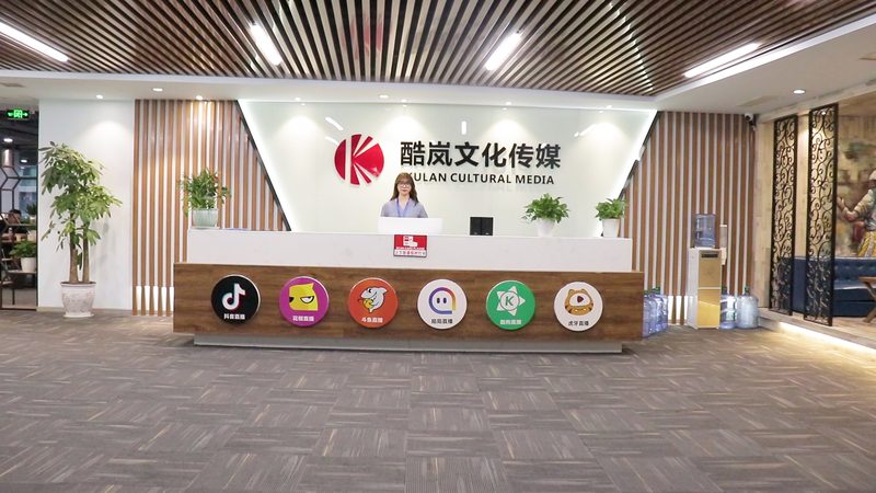 品牌公关传播服务流程：揭秘高效传播之道