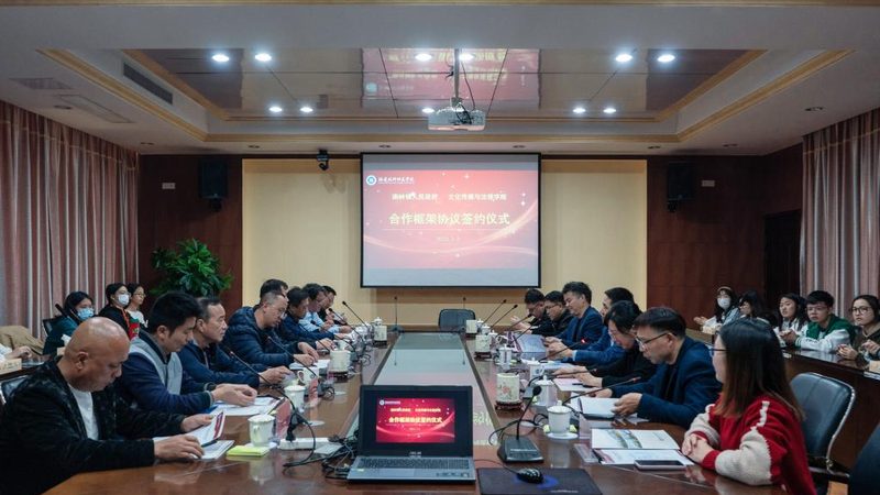 短视频代运营：揭秘哪些行业效果更佳