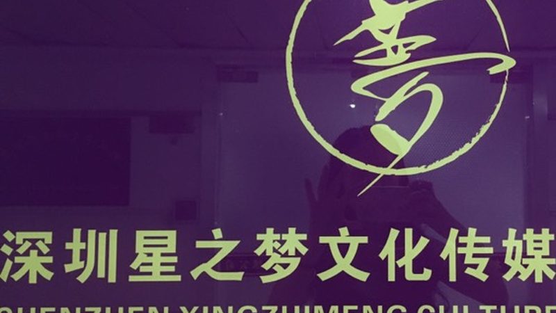 MG动画制作：价格区间揭秘与选择指南
